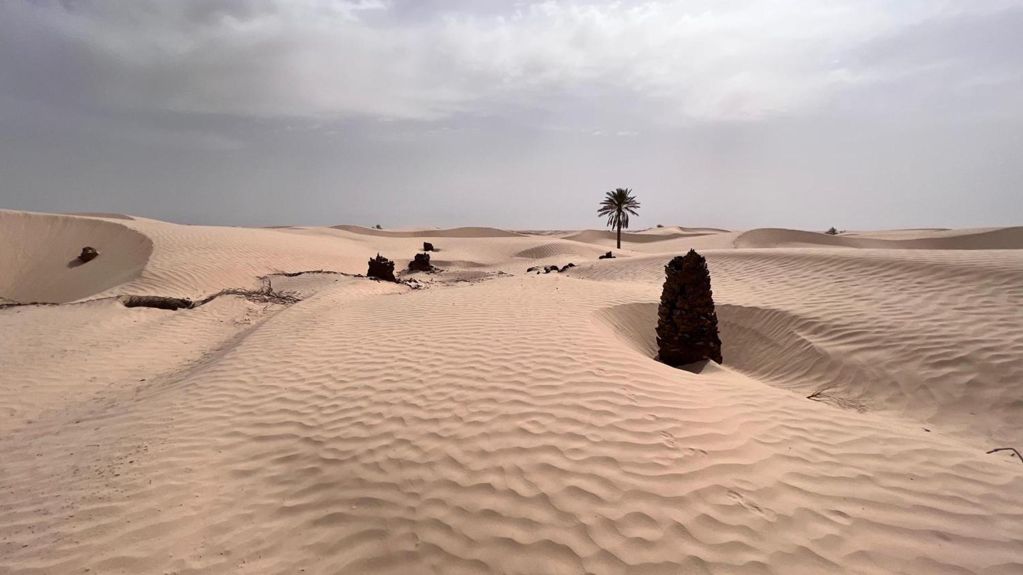 Luxury Camp Dunes Insolites Sabria Exterior foto