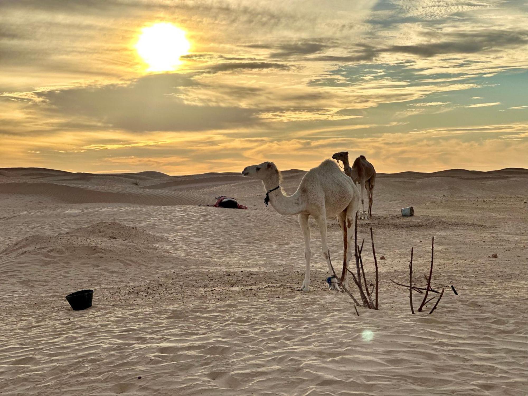 Luxury Camp Dunes Insolites Sabria Exterior foto